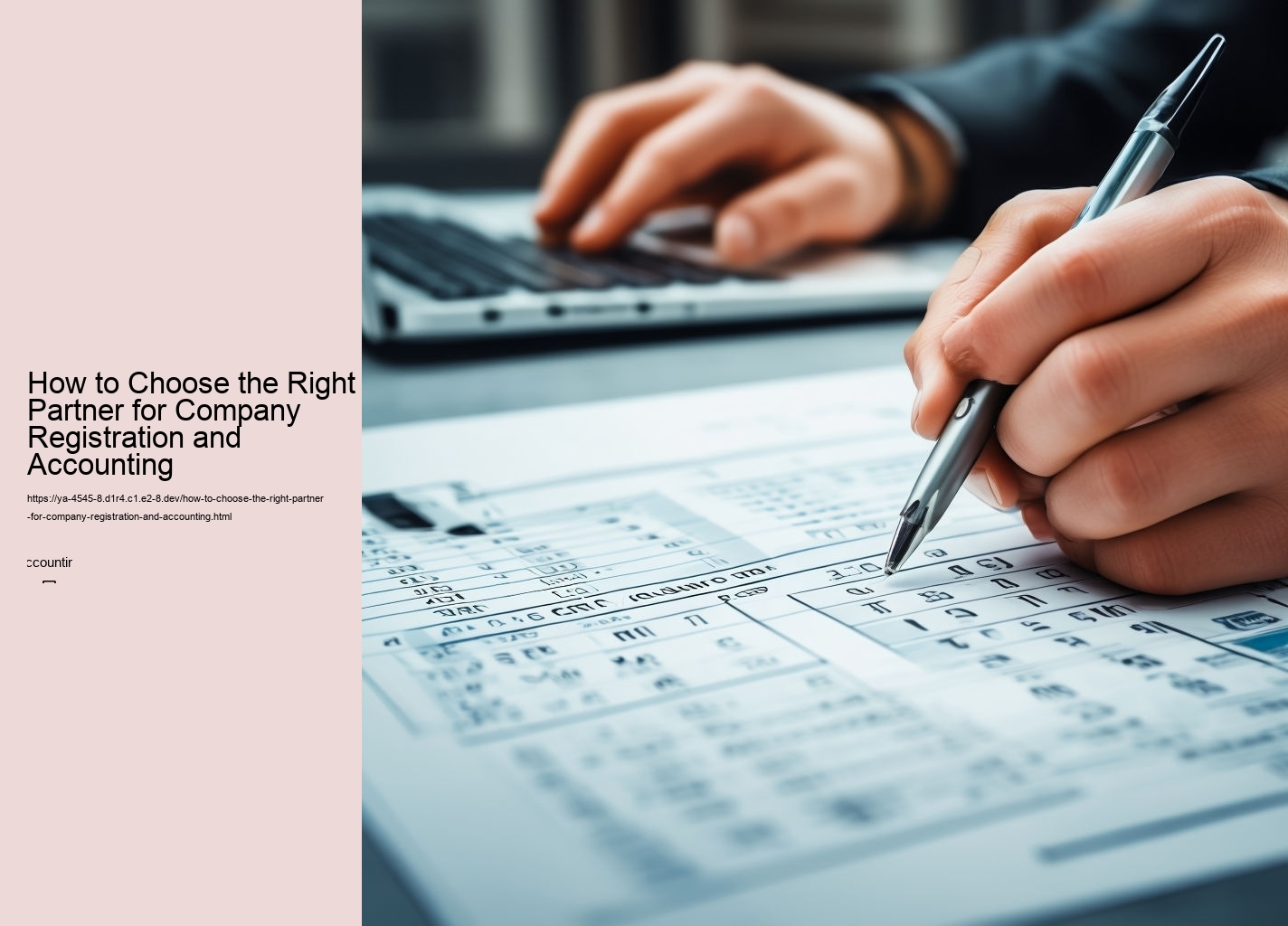 How to Choose the Right Partner for Company Registration and Accounting