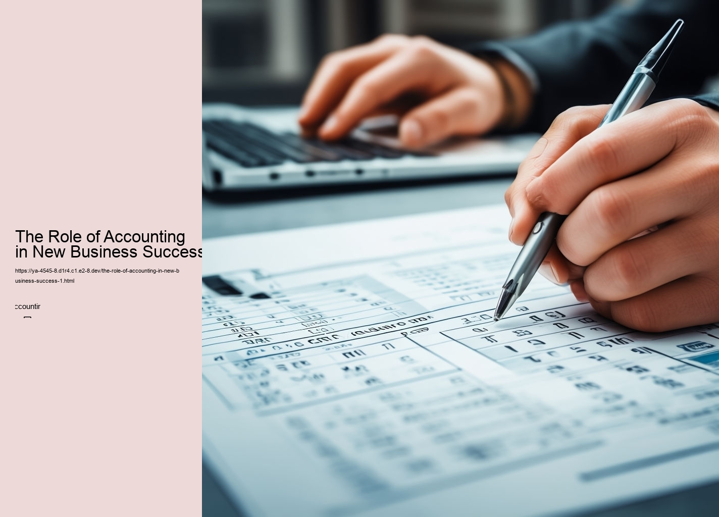 The Role of Accounting in New Business Success